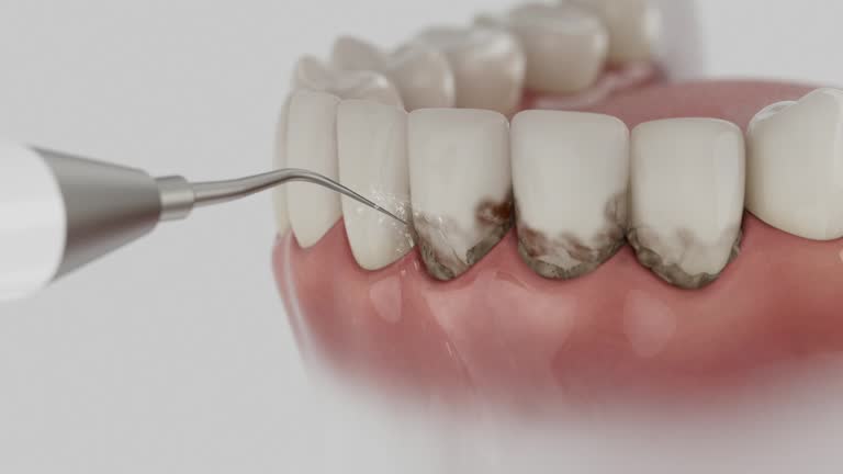 Reliable Dental contractor in Buckhead Ridge, FL by Dentist Open Now